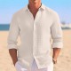 2025 New European & American Men's Summer Shirt - Casual Button-Down Style