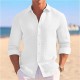 2025 New European & American Men's Summer Shirt - Casual Button-Down Style